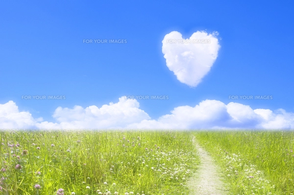 ハートの雲の写真素材 [FYI00047525] | ストックフォトの Qlean Market