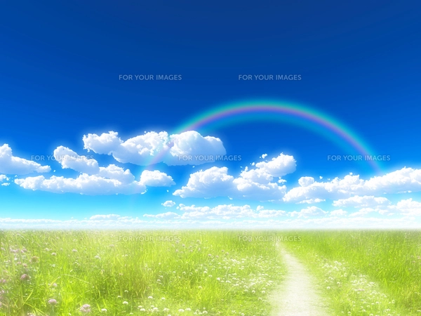 青空と草原の写真素材 [FYI00048007] | ストックフォトの Qlean Market