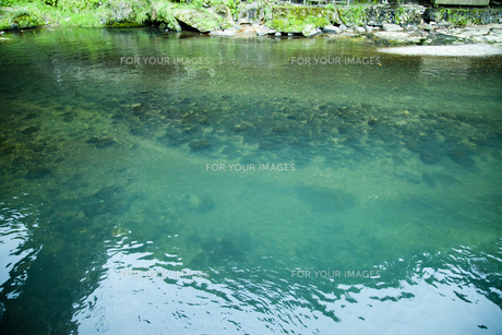 澄んだ川の写真素材 [FYI00051285] | ストックフォトの Qlean Market