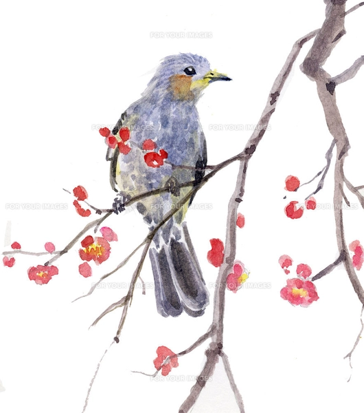 鳥と梅の水彩画 梅 絵画