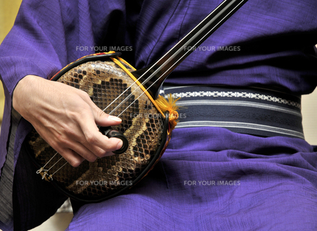 三線の写真素材 [FYI00309410] | ストックフォトの Qlean Market（キュ
