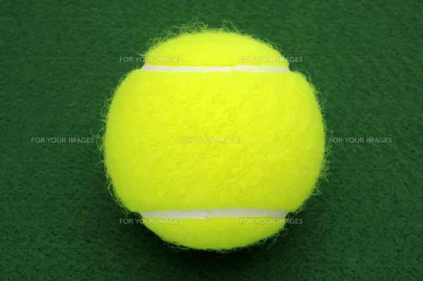 テニスボール 2個の写真素材 [FYI00312086] | ストックフォトの Qlean