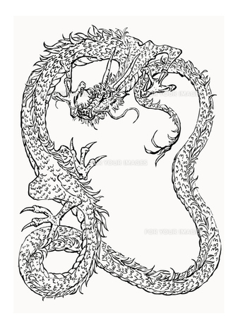 ドラゴン 線画 手描き B4