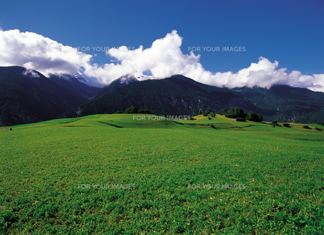 スイスの草原の写真素材 [FYI00366236] | ストックフォトの Qlean