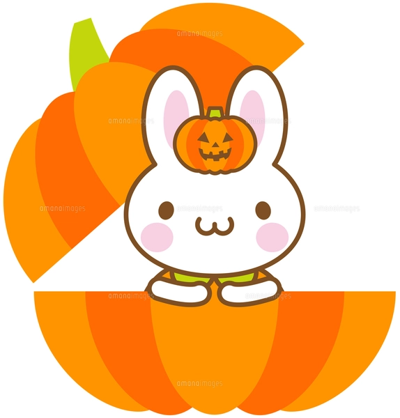 うさぎ ハロウィン 黒猫 かぼちゃの写真素材 [FYI00400723] | ストック