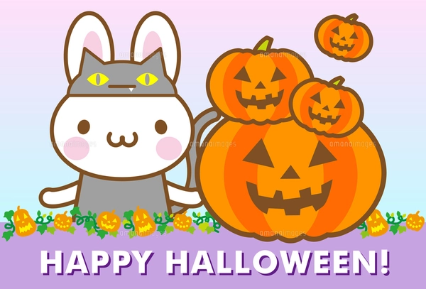 うさぎ ハロウィン かぼちゃの写真素材 [FYI00400701