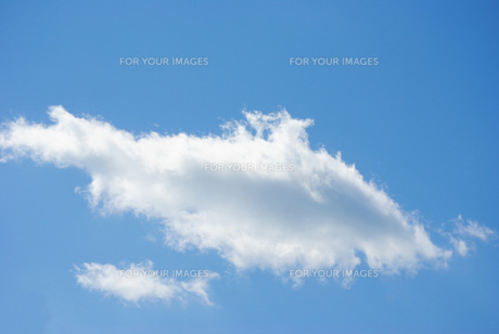 魚雲 ラストチャンスです！！！ 25土曜日個人相席予約空きできました！！！ 絵画