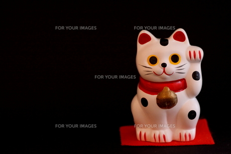 招き猫（横位置）の写真素材 [FYI00439530] | ストックフォトの Qlean