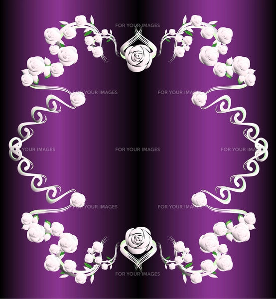 バラのフレーム金と紫の写真素材 [FYI00449094] | ストックフォトの