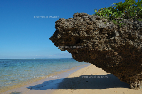 一枚岩のこんな珊瑚岩は２度と無いと思います！ 是非このチャンスにどうですか？ 一枚岩のこんな珊瑚岩は2度と無いと思います！ 是非このチャンス