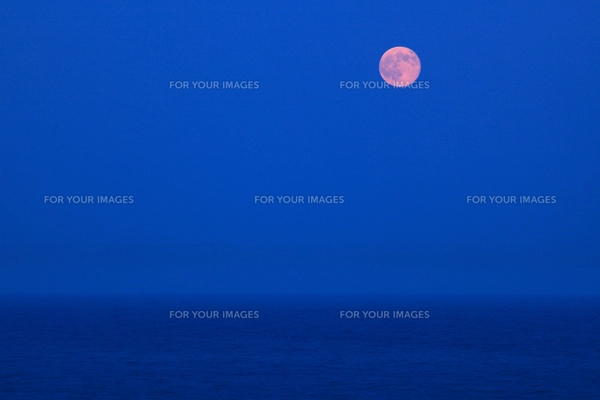 海の水平線から昇る 満月 実写の写真素材 [FYI00461539