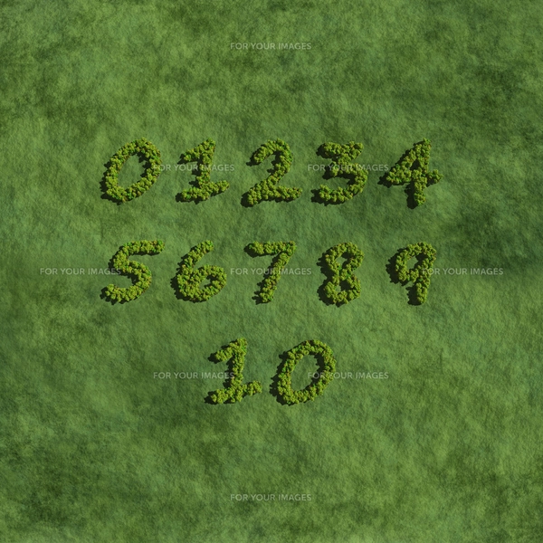 numbers create by tree white backgroundの写真素材 [FYI00643174] | ストックフォトの ...