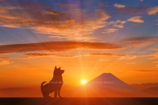 富士山と犬に朝日のイラスト素材 [FYI00893388] | ストックフォトの 