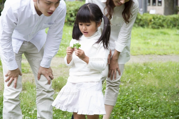 四葉のクローバーを探す女の子の写真素材 [FYI00922525