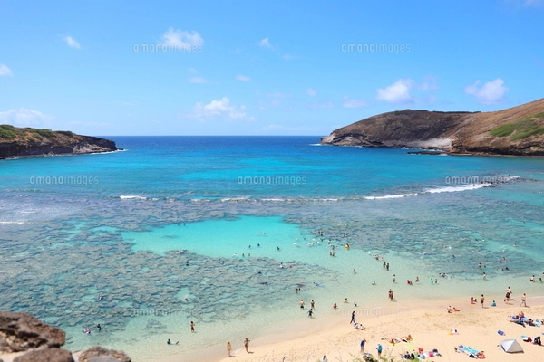 窓仕様】エメラルドのハナウマ・ベイと常夏の雲 ハワイ オアフ島 壁紙