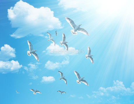 青空を飛ぶ鳥の群衆のイラスト素材 [FYI01282466] | ストックフォトの