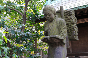 二宮金次郎像の写真素材 [FYI01382286] | ストックフォトの Qlean