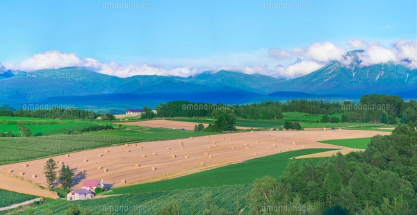 北海道 美瑛町点景 噴煙を上げる十勝岳の写真素材 [FYI01474139