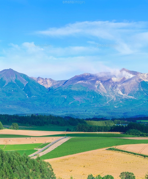 【オーダー用】北海道の風景写真 オーダー用】北海道の風景写真 オーダー用】北海道の風景写真 2025.06