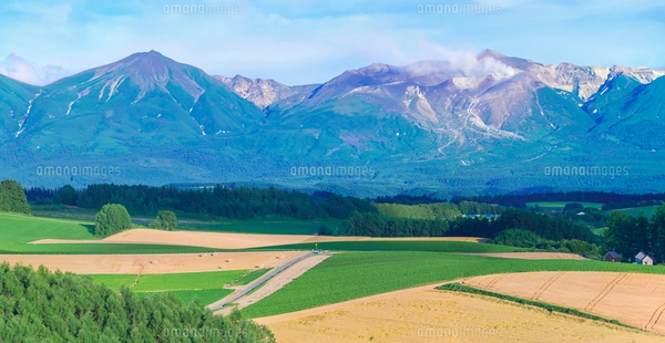 北海道 美瑛町点景 噴煙を上げる十勝岳の写真素材 [FYI01474139