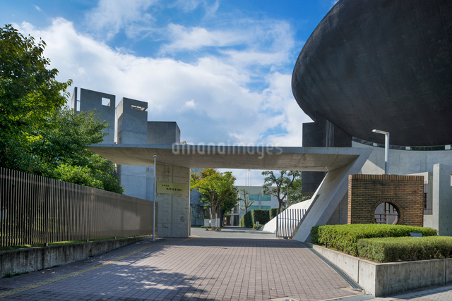 北野高校 大阪府立 玄関ホールタイル 新品未使用品 大阪府立北野高等学校 - Wikipedia