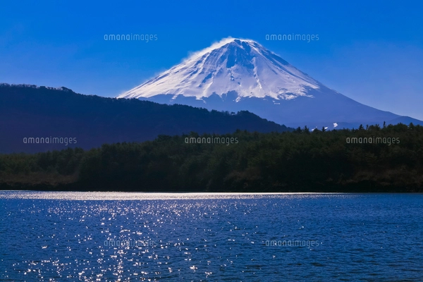 西湖から見た富士山の写真素材 [FYI02500465] | ストックフォトの