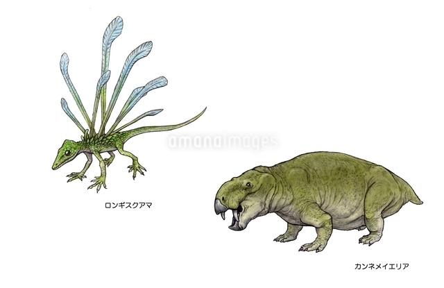三畳紀 アジアの恐竜のイラスト素材 [FYI01635790] | ストックフォトの
