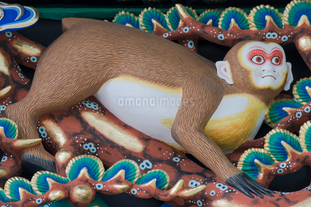 日光東照宮 神厩舎の猿の彫刻「妊娠した猿」(平成の大修理完成後)の