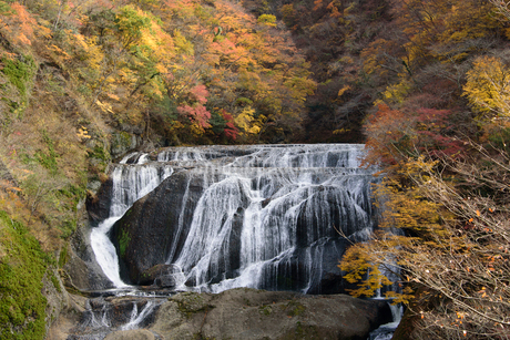袋田の滝の紅葉の写真素材 [FYI01688304] | ストックフォトの Qlean Market（キュリンマーケット）