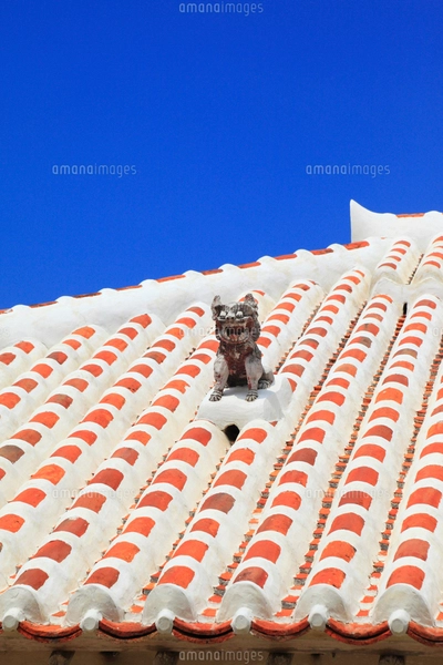 沖縄・竹富島 赤瓦の屋根とシーサーの写真素材 [FYI01792860