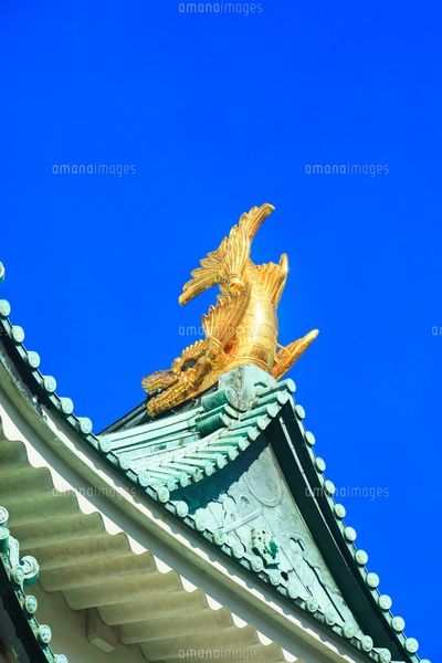 城柄　名古屋帯　金鯱 城 rectangle_large_type_2_fdf5e9b