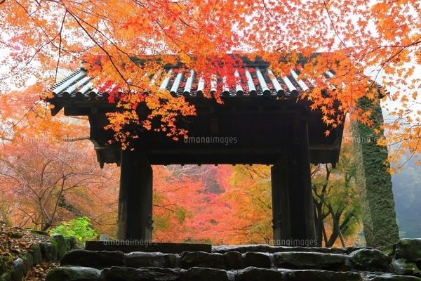 水彩画　ジクレー版画「秋月城跡 黒門の紅葉」（朝倉市） 水彩画 ジクレー版画「秋月城跡 黒門の紅葉」（朝倉市） - メルカリ