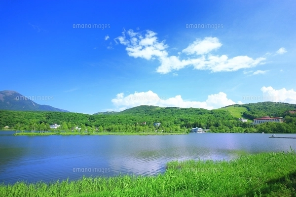 白樺高原 白樺湖と蓼科山の写真素材 [FYI01818914] | ストックフォトの