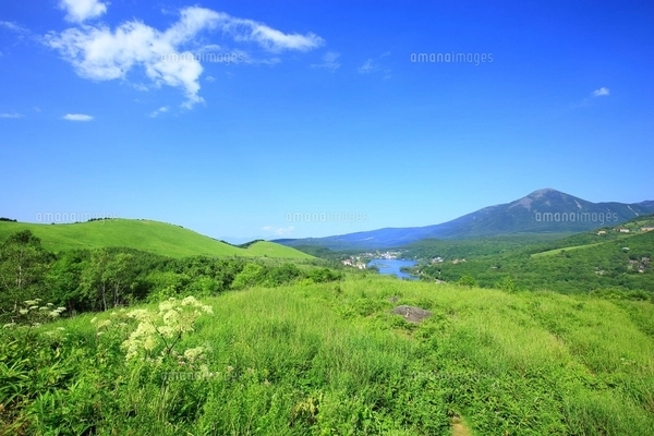 白樺高原 白樺湖と蓼科山の写真素材 [FYI01818914] | ストックフォトの
