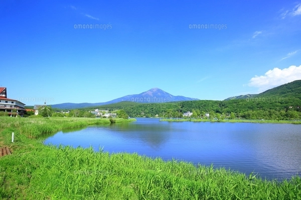 白樺高原 白樺湖と蓼科山の写真素材 [FYI01818914] | ストックフォトの