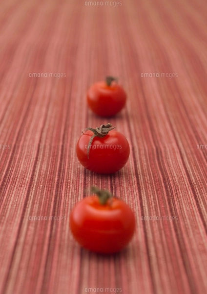 三つのミニトマトの写真素材 [FYI01949326] | ストックフォトの Qlean