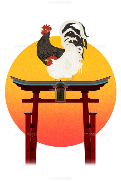 2羽のニワトリと鳥居と朝日 イラストのイラスト素材 [FYI01978064