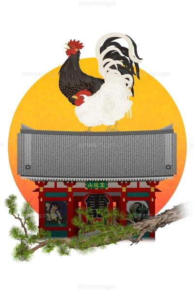 にわとり2羽 2羽のニワトリと鳥居と朝日 イラストのイラスト素材 [FYI01978064