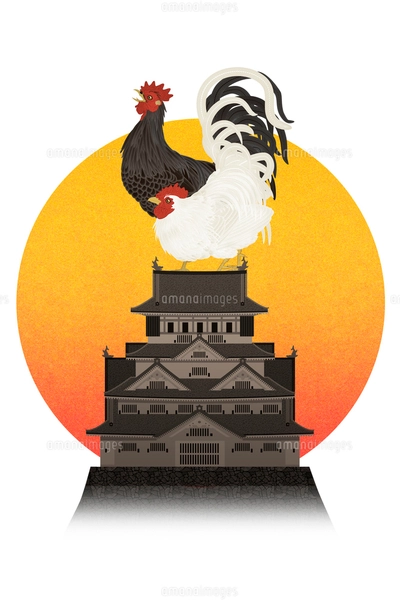 2羽のニワトリと鳥居と朝日 イラストのイラスト素材 [FYI01978064