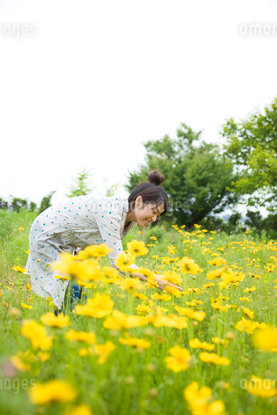 花畑で花を摘む日本人女性の写真素材 [FYI02005026] | ストックフォト 