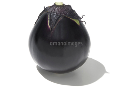 天然素材　茄子 鳥飼茄子の写真素材 [FYI02075381] | ストックフォトの Qlean Market