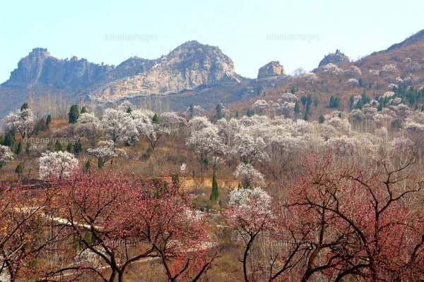Mount Xiling at the sunset, Chengdu, Sichuan, Chinaの写真素材 [FYI02352277 ...