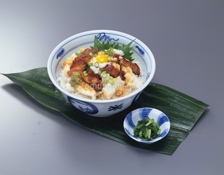 丼物イメージの写真素材 [FYI02379822] | ストックフォトの Qlean Market