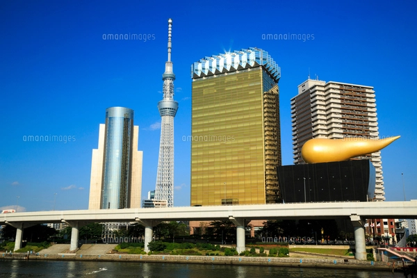 スカイツリーと墨田区役所とアサヒビール本社ビルの写真素材
