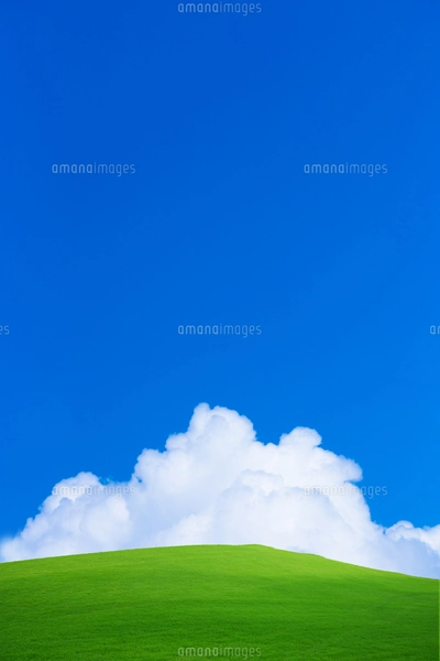 Fujio 油彩画 青空と草原の風景 緑の草原と青空に雲の写真素材 [FYI01647610] | ストックフォト