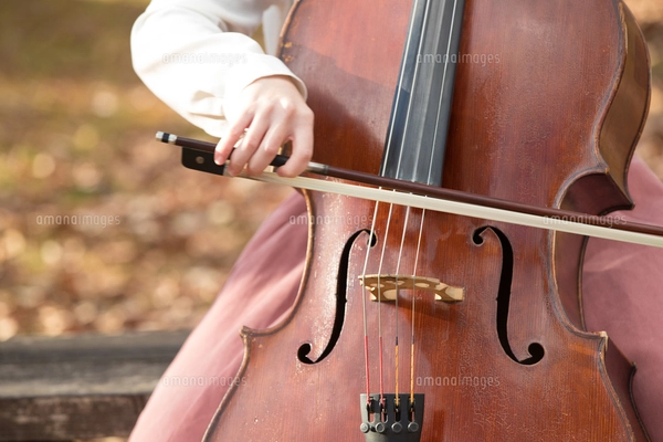 公園でチェロを弾く20代女性の写真素材 [FYI02574302] | ストック