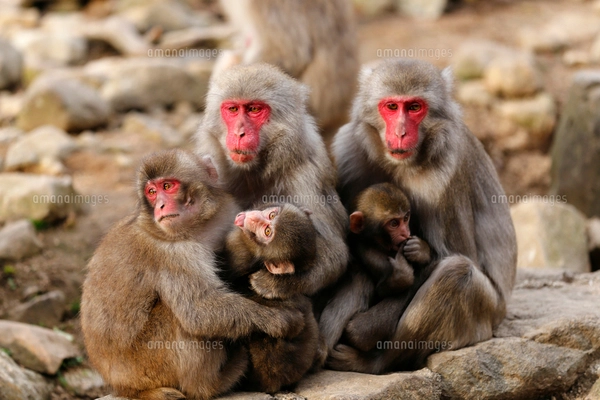 11月 小豆島の平和の群像 二十四の瞳像の写真素材 [FYI02673421