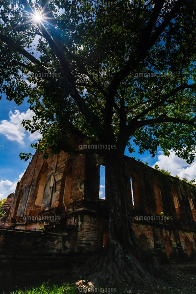 【非売品】写真集「世界遺産 アユタヤ遺跡群 ＆ スコータイ遺跡群」 タイの遺跡 (500 無料写真)