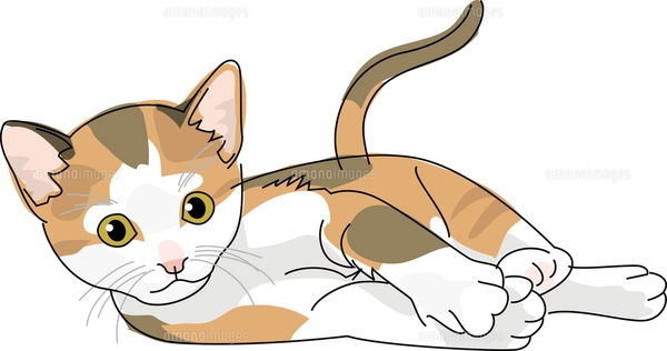 三毛猫、イラストボード22cm×30,5cm 猫 日本猫 三毛のイラスト素材 [FYI02684563] | ストックフォト