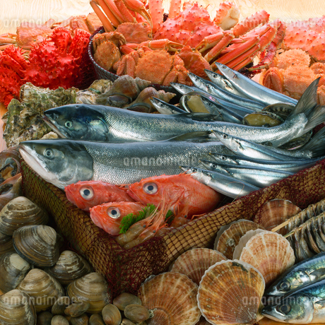 魚介類の集合の写真素材 [FYI02847696] | ストックフォトの Qlean Market（キュリンマーケット）